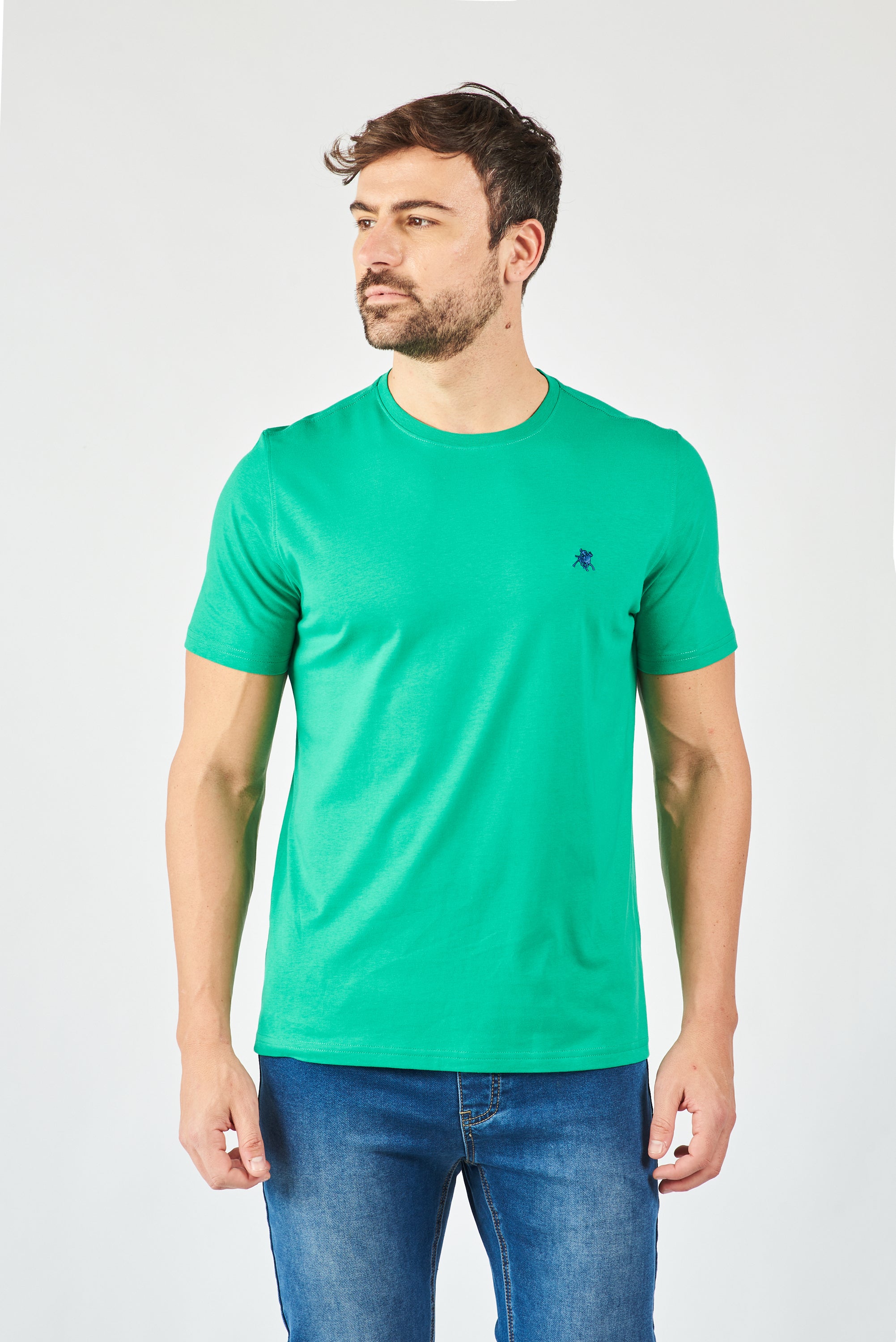 REMERA MANGA CORTA SUNSET GREEN STRONG